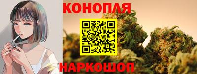 стаф Аргун