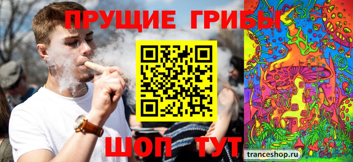 Бугульма  Псилоцибиновые грибы прущие грибы  где можно купить   Вход с VPN 