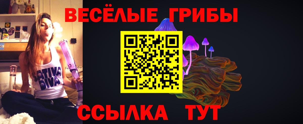 Галлюциногенные грибы ЛСД Бугульма
